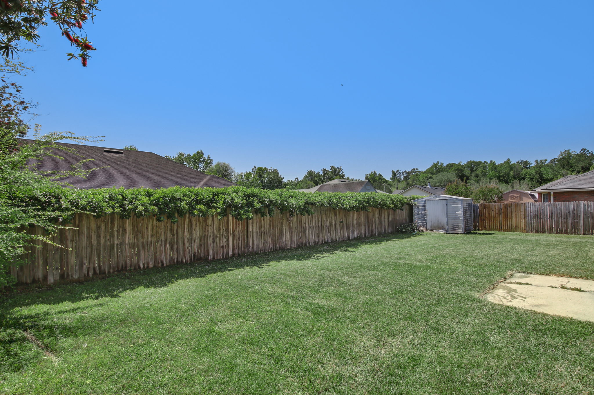 Back Yard