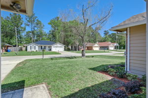 Front Yard