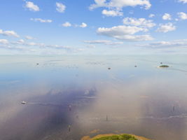DJI_0599