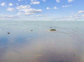 DJI_0602