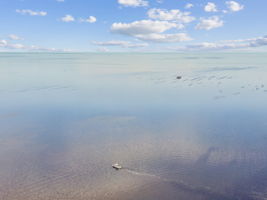 DJI_0605