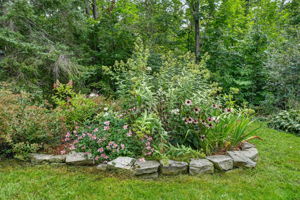  Photo 49