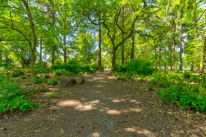  Photo 49