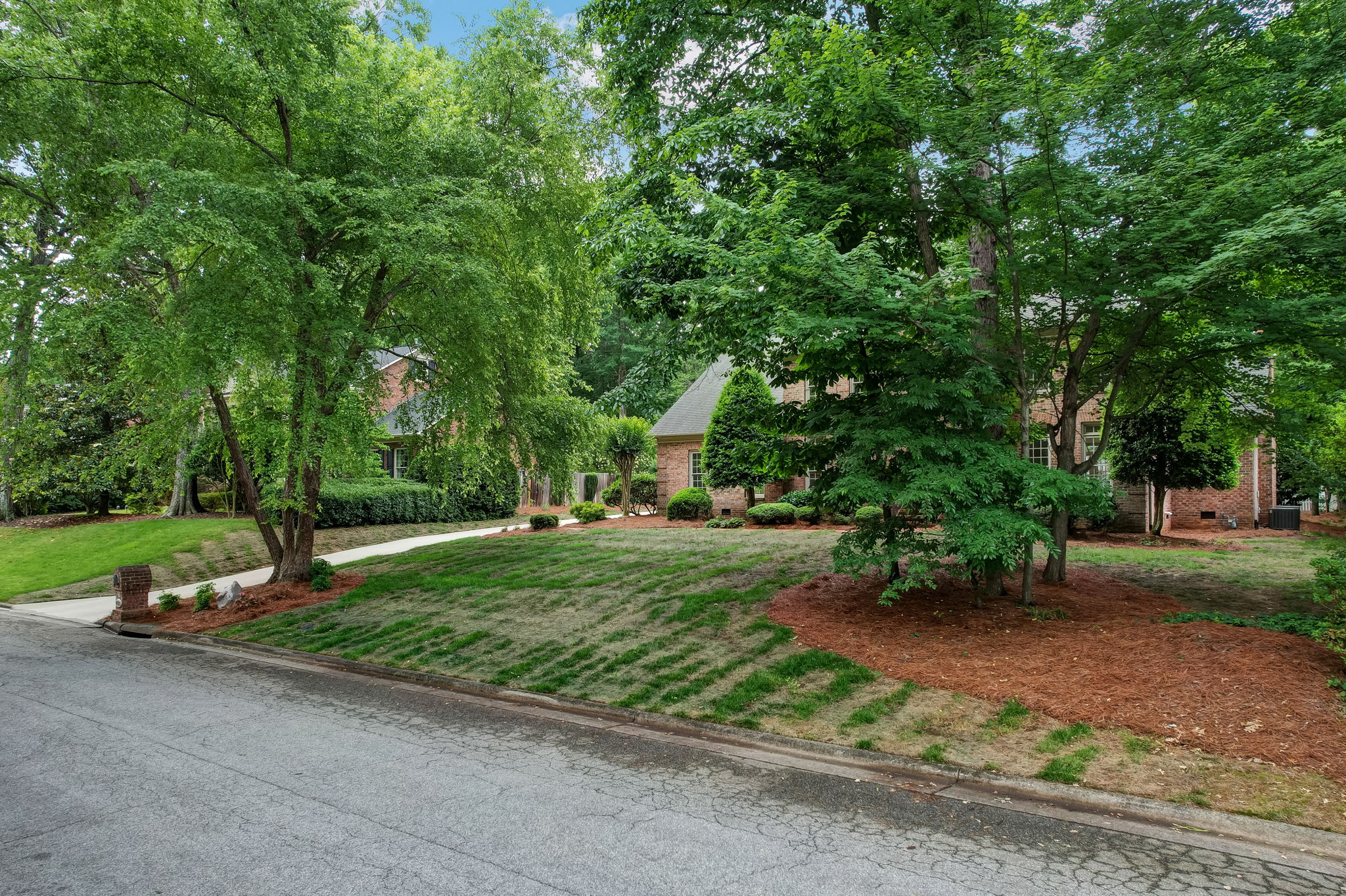 Front Yard