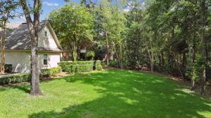 Huge Rear Lawn