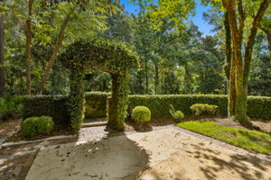 Rear Yard