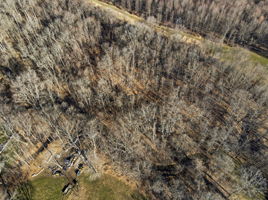 Paige Bryant - 4515 Township Rd 179-8