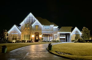 4517 Montalcino Blvd - Jellyfish Lighting