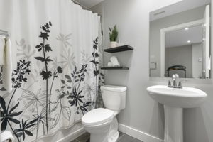  Photo 45