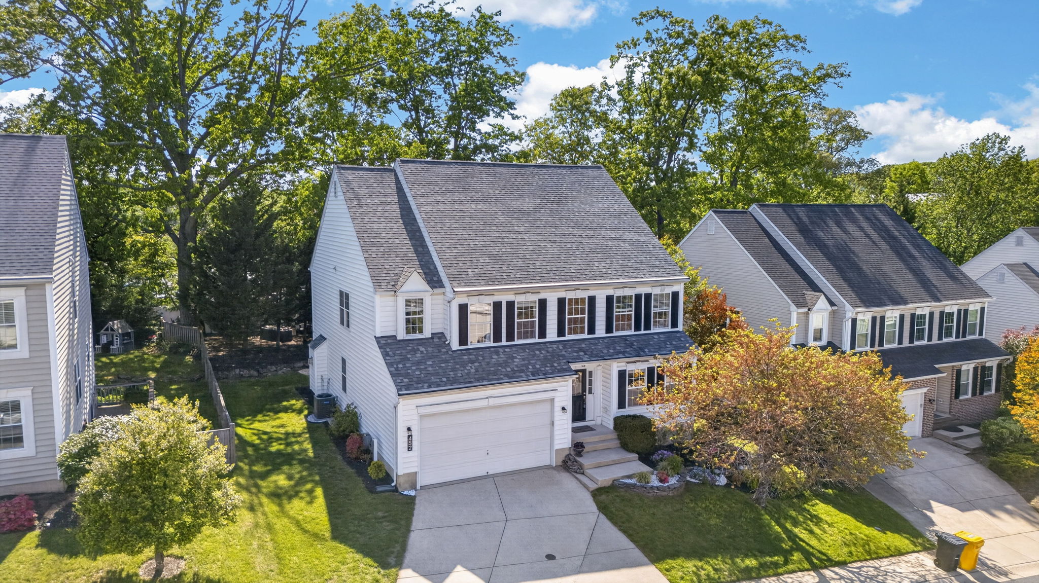 Larkspur 10