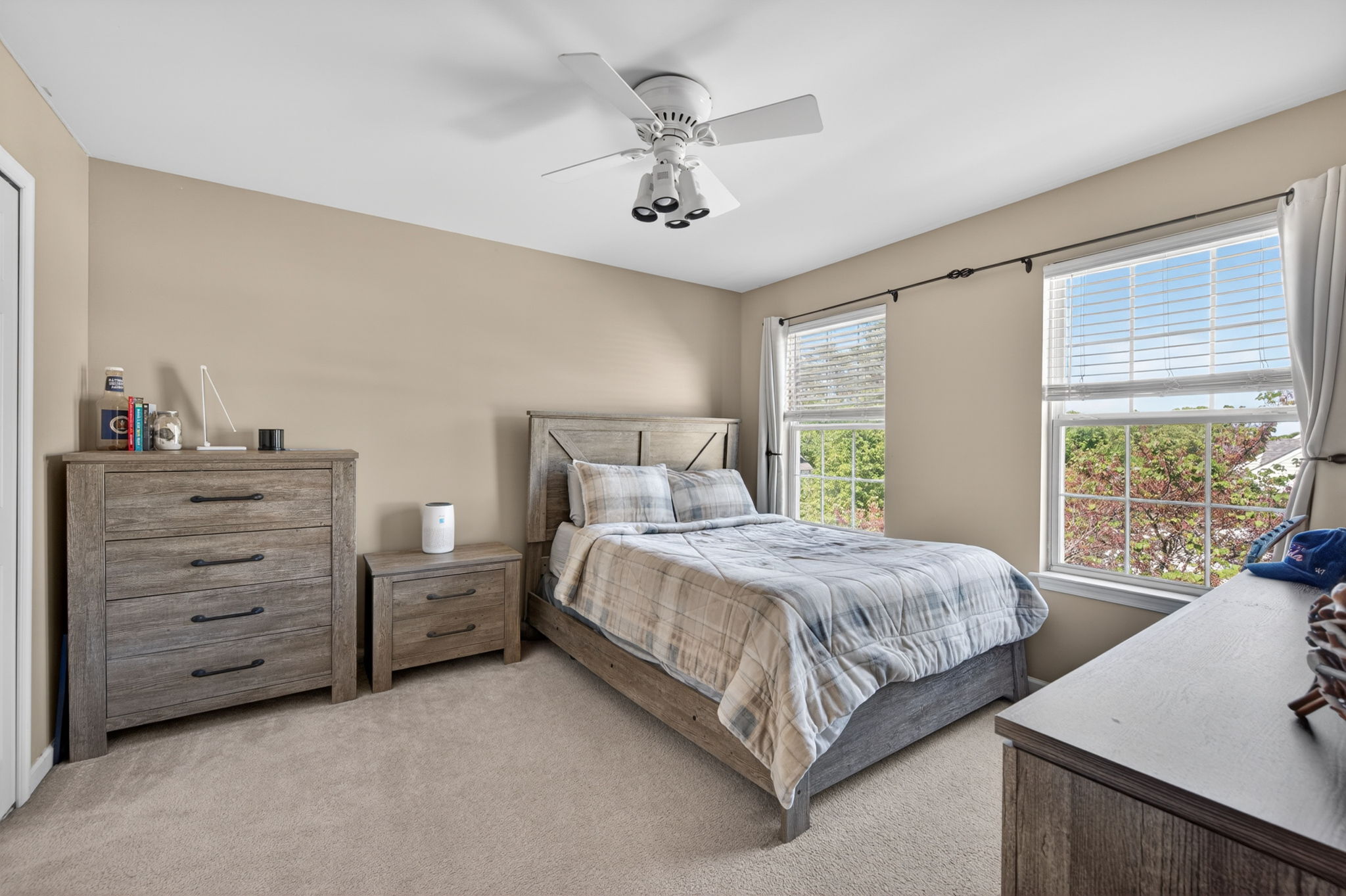 Larkspur 39