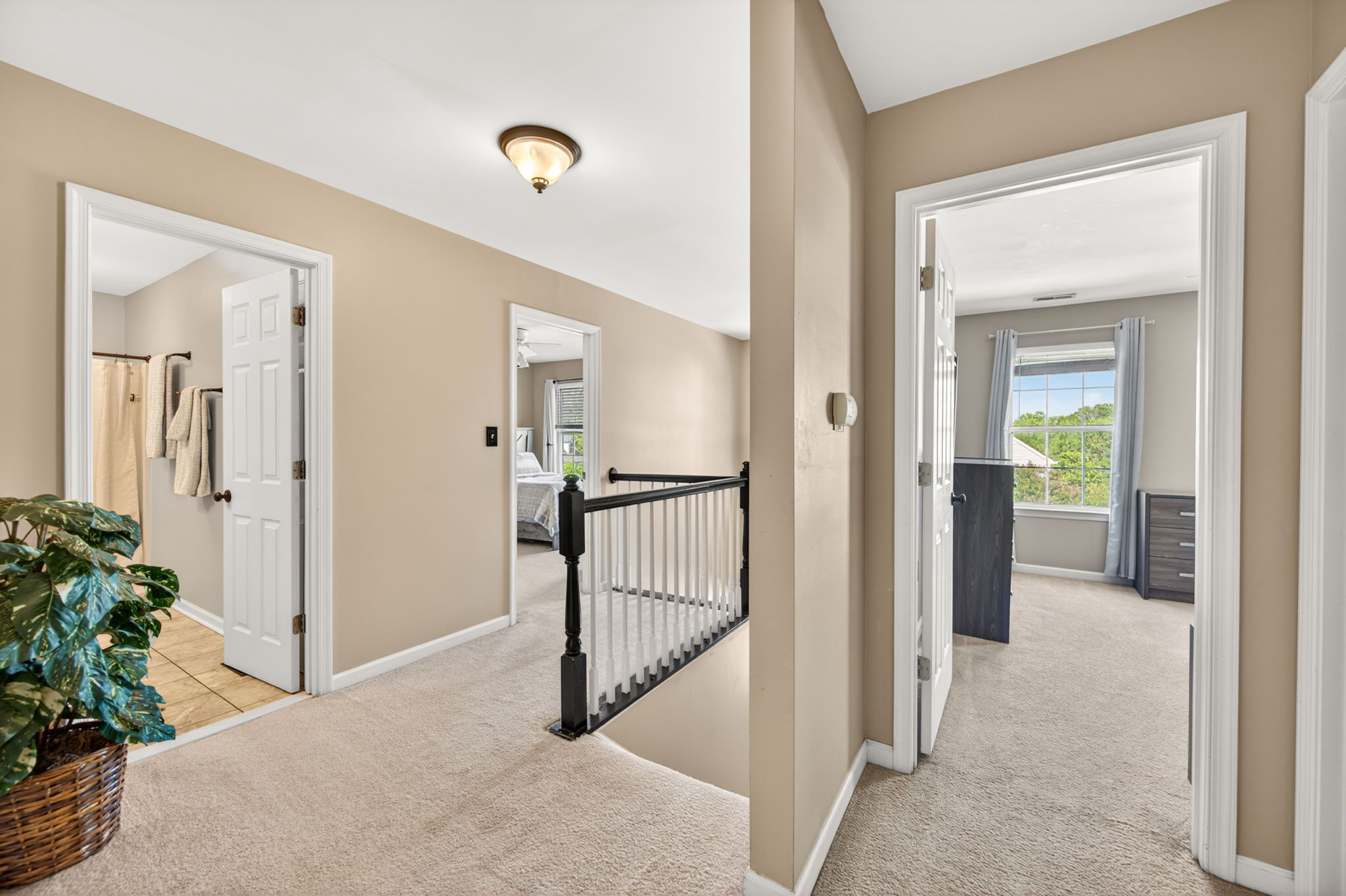 Larkspur 44