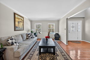Larkspur 19