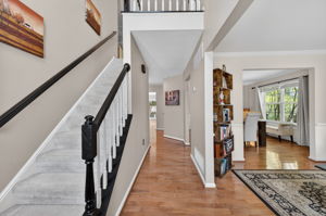 Larkspur 21