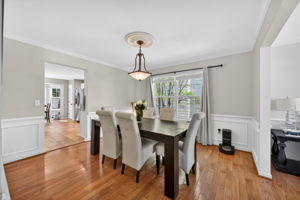 Larkspur 22