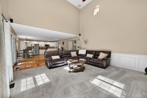 Larkspur 28