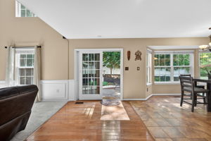 Larkspur 31