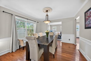 Larkspur 38
