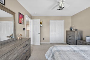 Larkspur 40