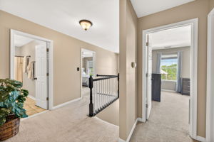 Larkspur 44