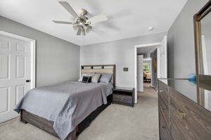 Larkspur 46