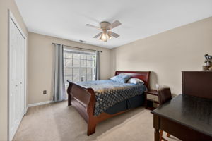 Larkspur 59
