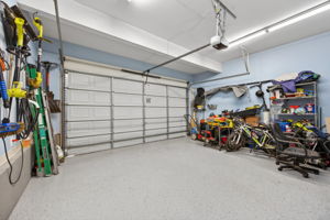 Larkspur 61