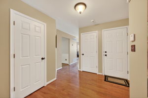 Larkspur 66