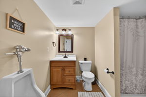 Larkspur 73