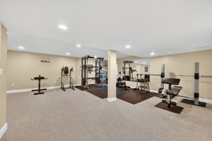 Larkspur 74