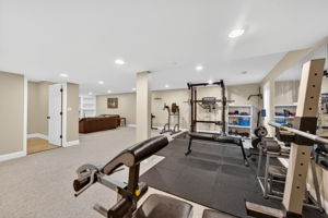 Larkspur 76
