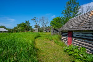  Photo 49