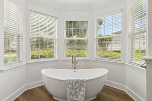 Statement Tub