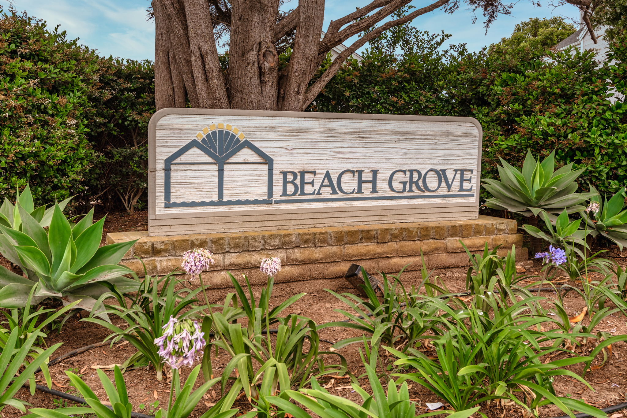 29-Welcome to Beach Grove