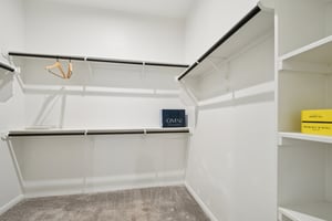 Lucabella Ln-S2004-028.jpg