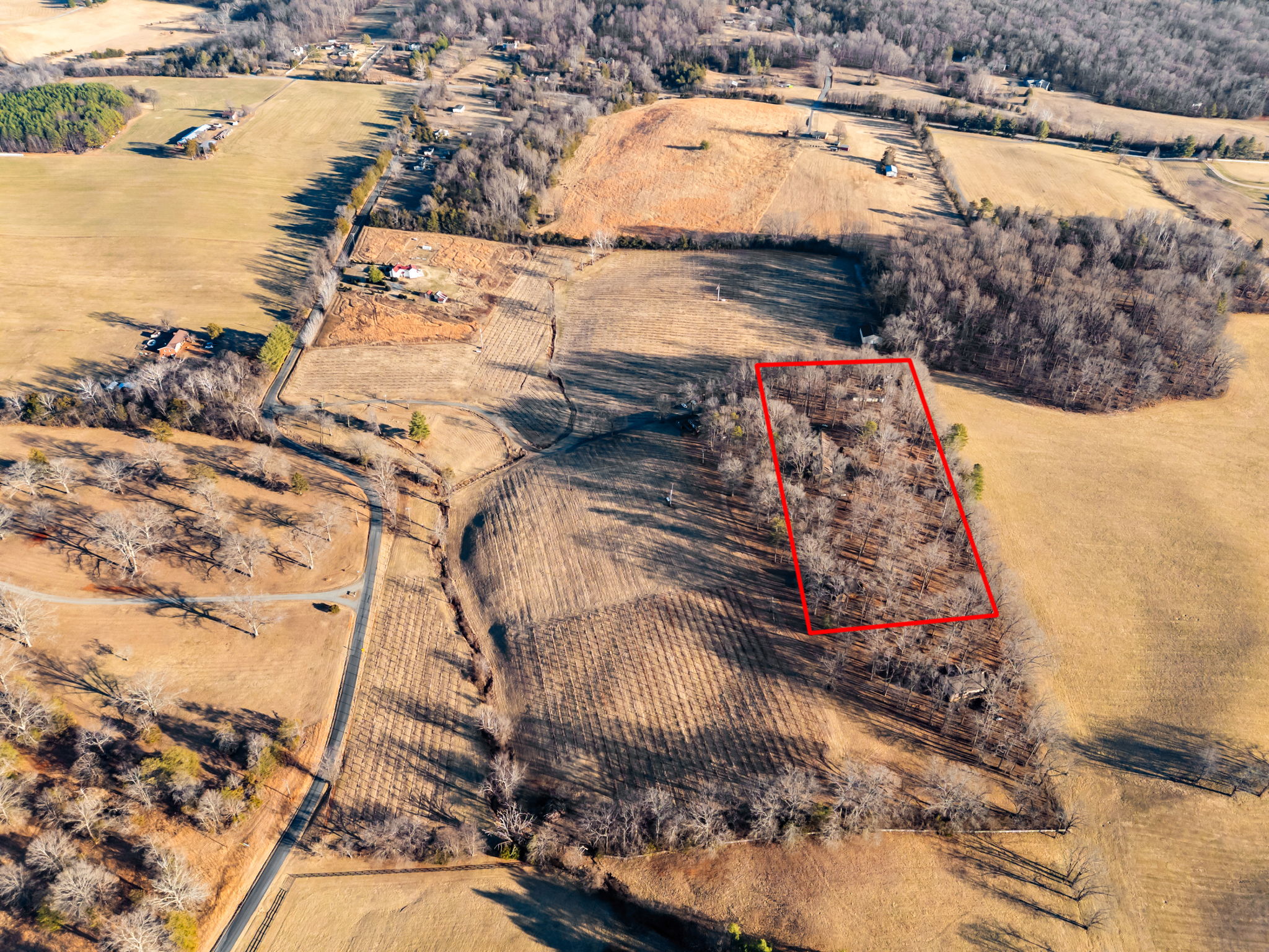 Please take red line off