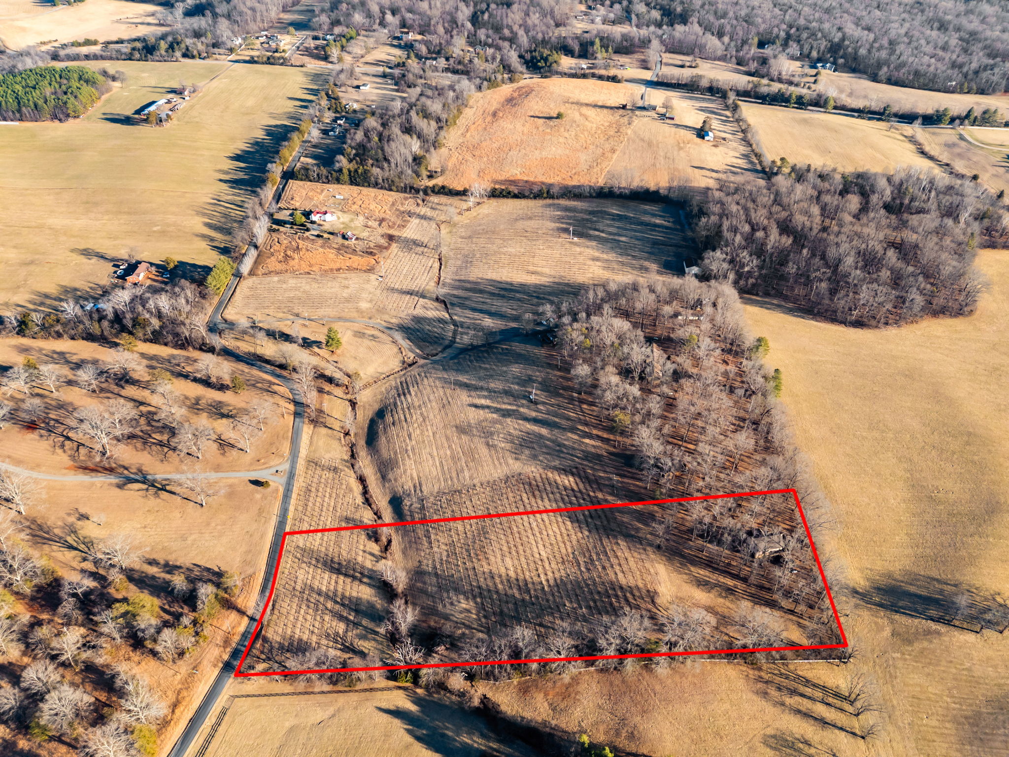 Please take red line off