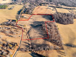 Please take red line off