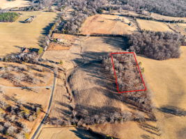 Please take red line off