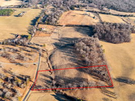 Please take red line off