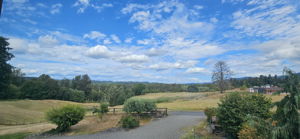  Photo 0