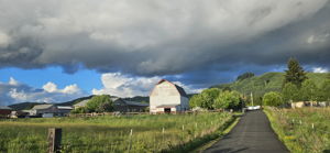  Photo 40