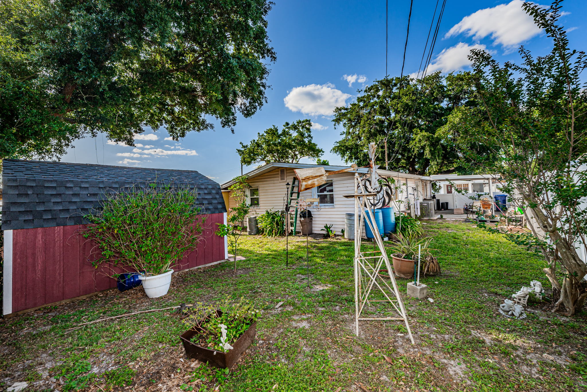 Backyard1-2