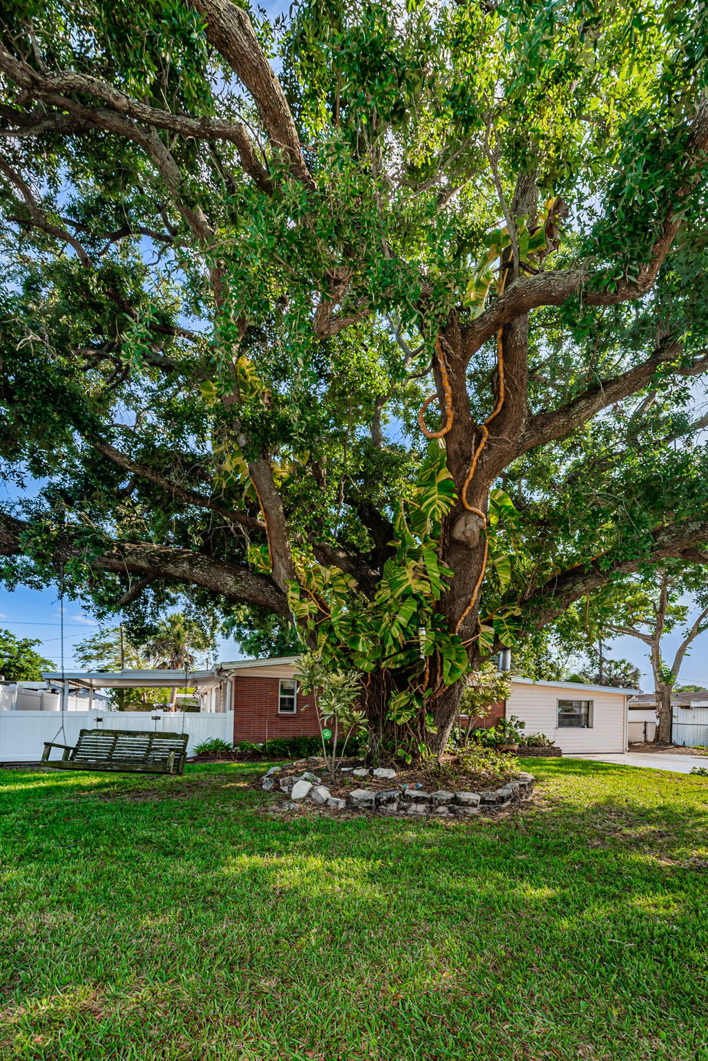 Frontyard3