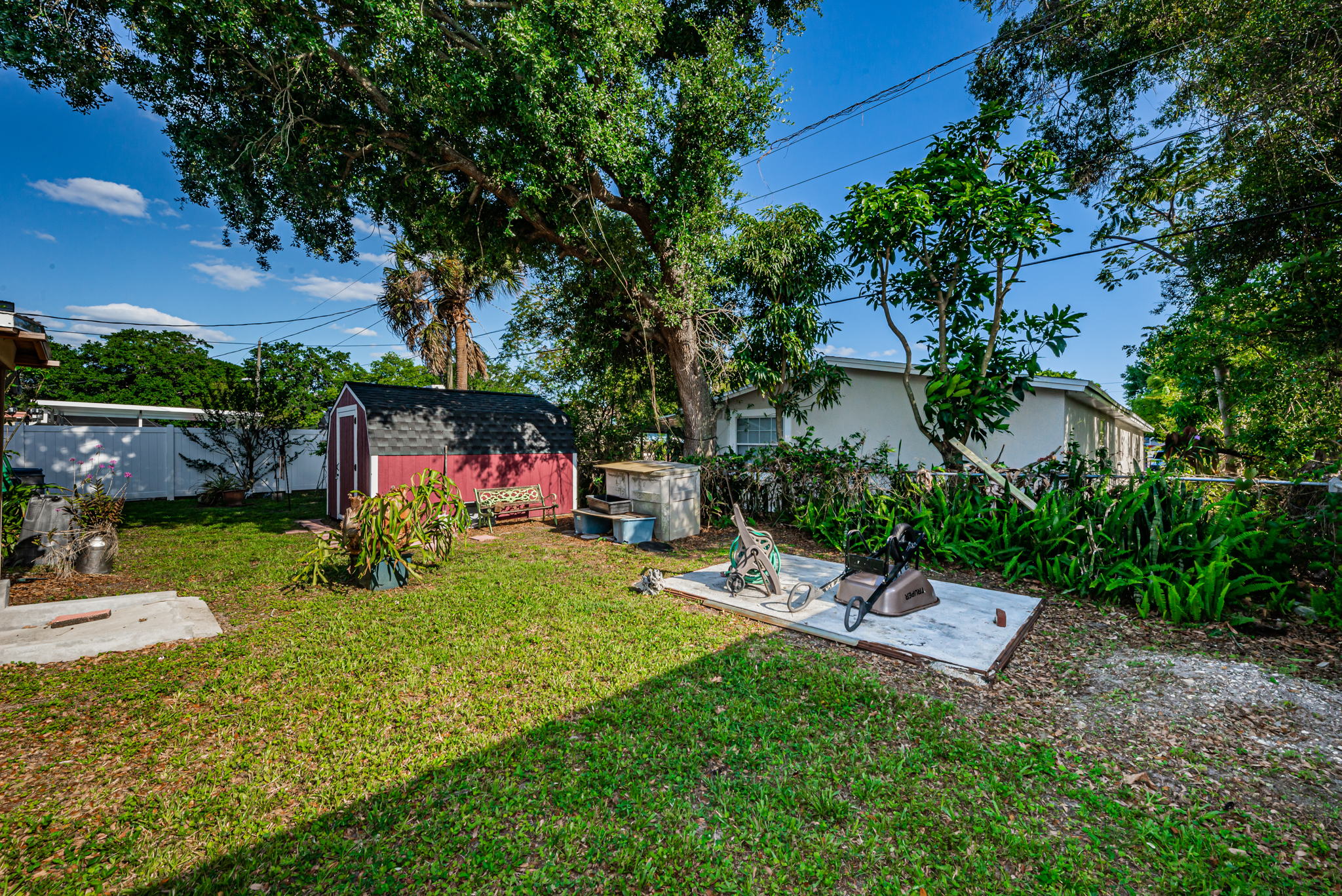 Backyard5-2