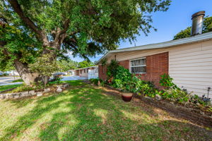 Frontyard2
