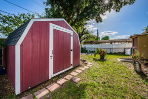 Backyard3-2