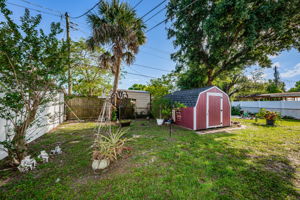 Backyard2-2