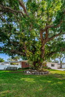 Frontyard3