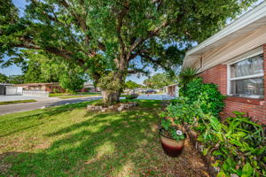 Frontyard1